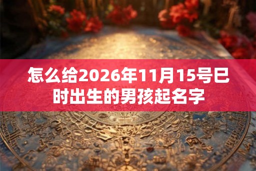 怎么给2026年11月15号巳时出生的男孩起名字
