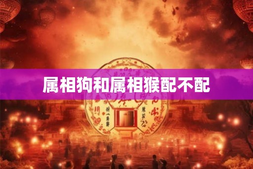 属相狗和属相猴配不配