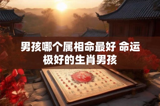 男孩哪个属相命最好 命运极好的生肖男孩