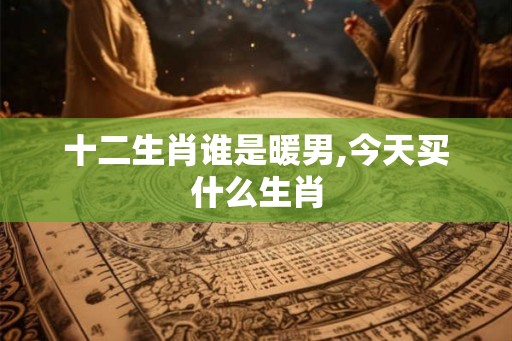 十二生肖谁是暖男,今天买什么生肖