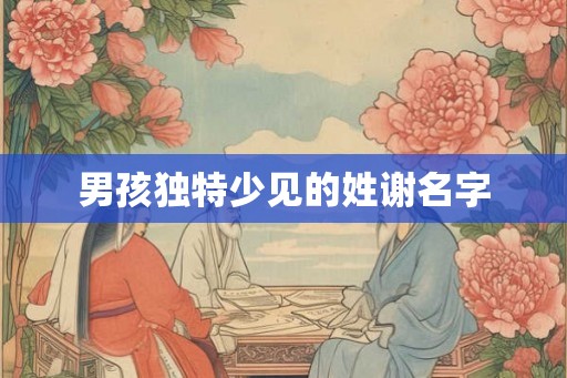 男孩独特少见的姓谢名字