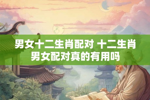 男女十二生肖配对 十二生肖男女配对真的有用吗