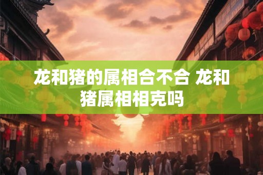 龙和猪的属相合不合 龙和猪属相相克吗