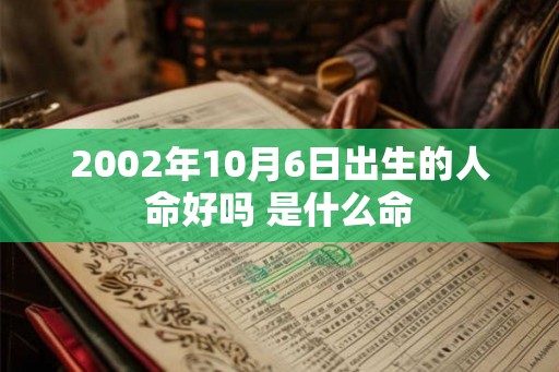 2002年10月6日出生的人命好吗 是什么命