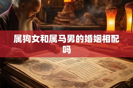 属狗女和属马男的婚姻相配吗