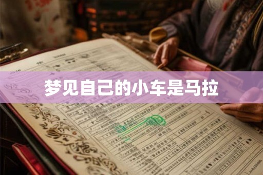 梦见自己的小车是马拉