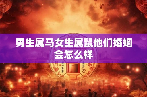 男生属马女生属鼠他们婚姻会怎么样
