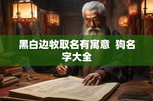 黑白边牧取名有寓意  狗名字大全
