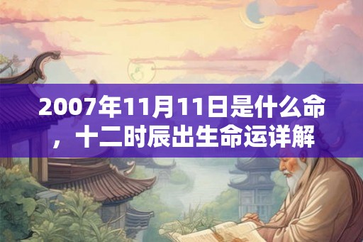 2007年11月11日是什么命，十二时辰出生命运详解