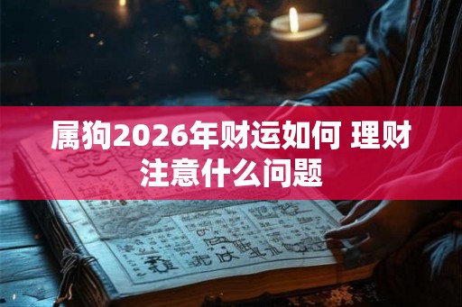 属狗2026年财运如何 理财注意什么问题