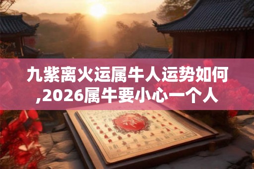 九紫离火运属牛人运势如何,2026属牛要小心一个人