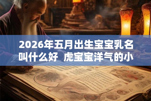 2026年五月出生宝宝乳名叫什么好  虎宝宝洋气的小名大全