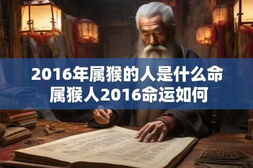 2016年属猴的人是什么命 属猴人2016命运如何