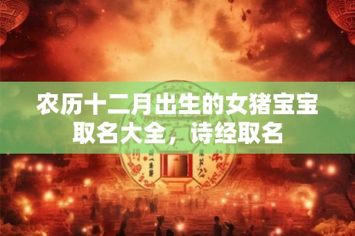 农历十二月出生的女猪宝宝取名大全,诗经取名 农历十二月出生的女猪宝宝取名大全,诗经取名