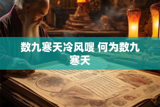 数九寒天冷风嗖 何为数九寒天