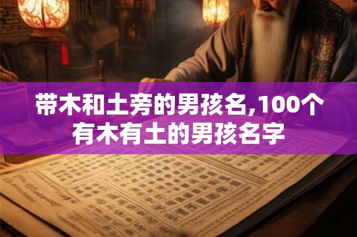 带木和土旁的男孩名,100个有木有土的男孩名字