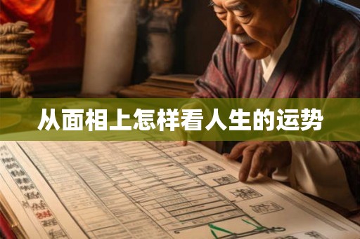 从面相上怎样看人生的运势