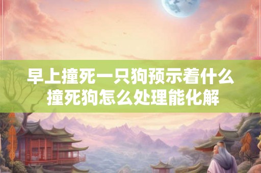 早上撞死一只狗预示着什么 撞死狗怎么处理能化解
