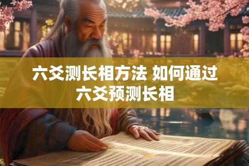 六爻测长相方法 如何通过六爻预测长相