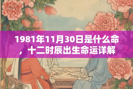 1981年11月30日是什么命,十二时辰出生命运详解 1981年11月30日是什么命,十二时辰出生命运详解