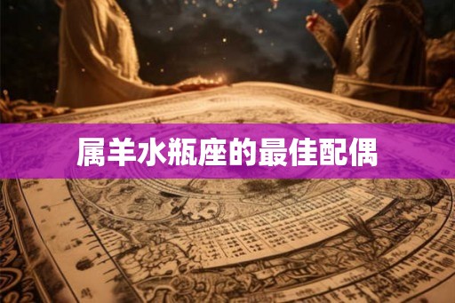 属羊水瓶座的最佳配偶