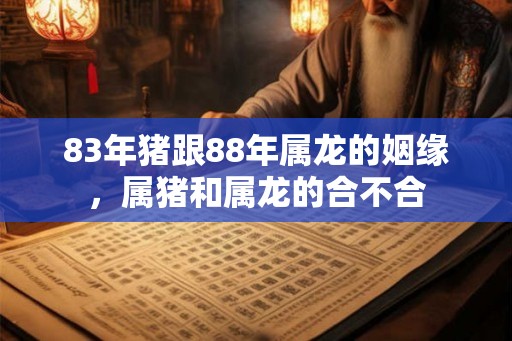 83年猪跟88年属龙的姻缘，属猪和属龙的合不合