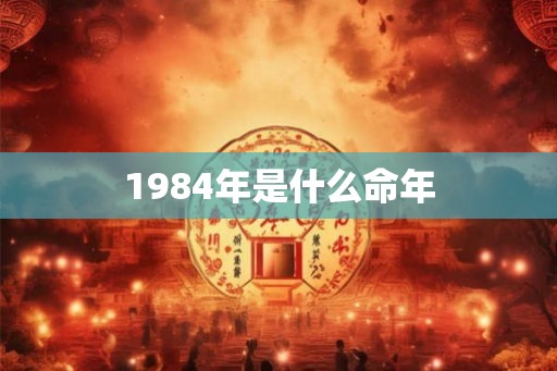 1984年是什么命年