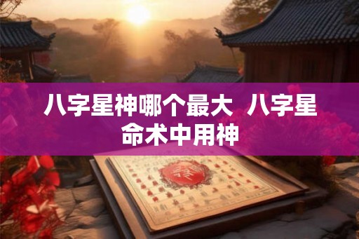八字星神哪个最大  八字星命术中用神