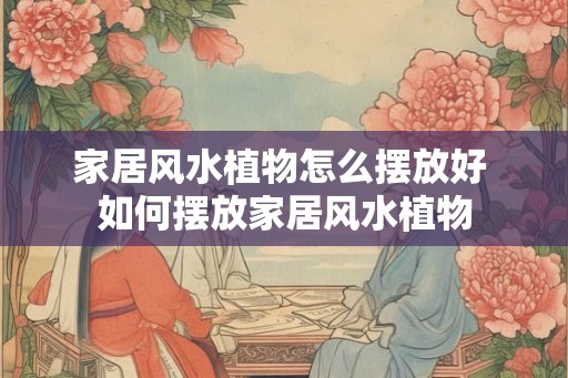 家居风水植物怎么摆放好 如何摆放家居风水植物