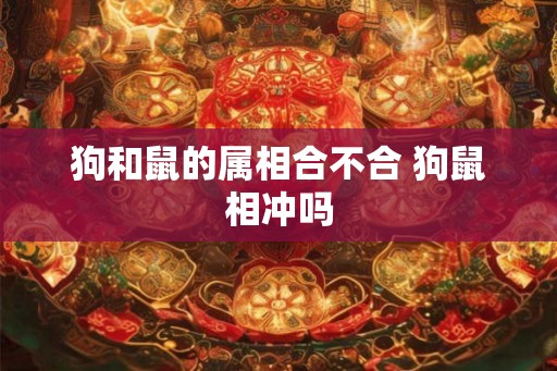 狗和鼠的属相合不合 狗鼠相冲吗