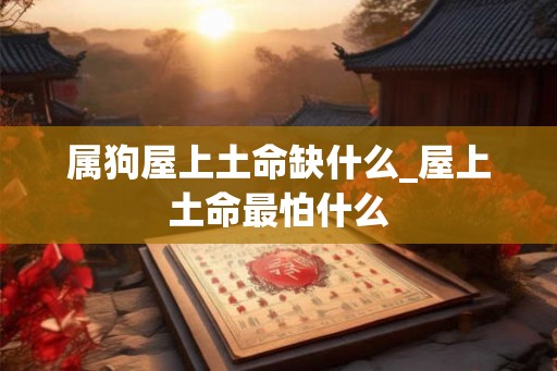 属狗屋上土命缺什么_屋上土命最怕什么