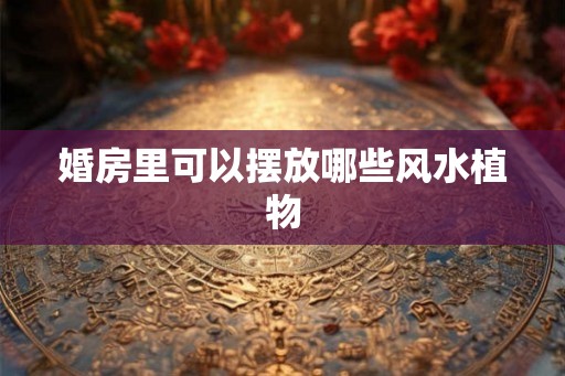 婚房里可以摆放哪些风水植物