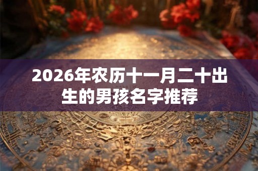 2026年农历十一月二十出生的男孩名字推荐