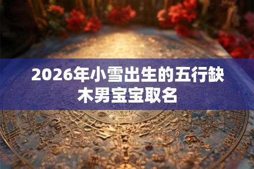 2026年小雪出生的五行缺木男宝宝取名
