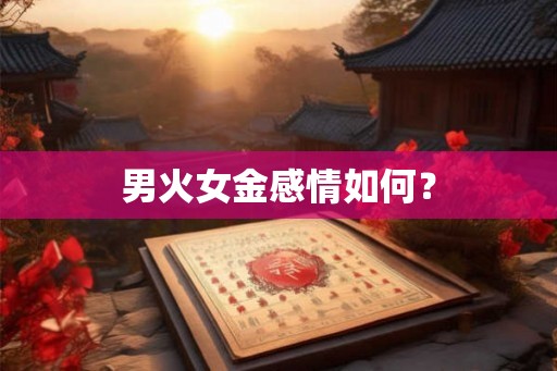 男火女金感情如何? 男火女金感情如何?