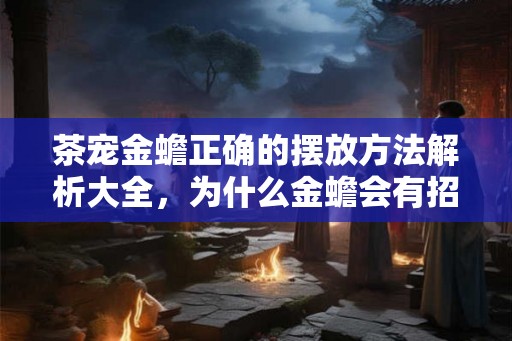 茶宠金蟾正确的摆放方法解析大全，为什么金蟾会有招财的寓意？