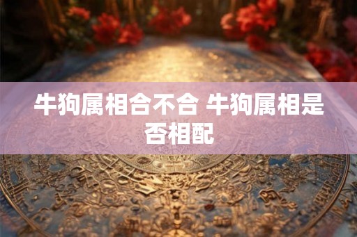 牛狗属相合不合 牛狗属相是否相配