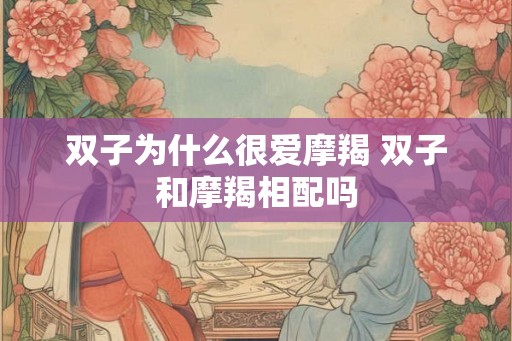 双子为什么很爱摩羯 双子和摩羯相配吗 双子为什么很爱摩羯 双子和摩羯相配吗