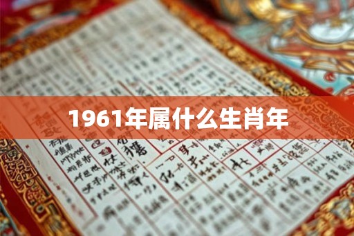 1961年属什么生肖年