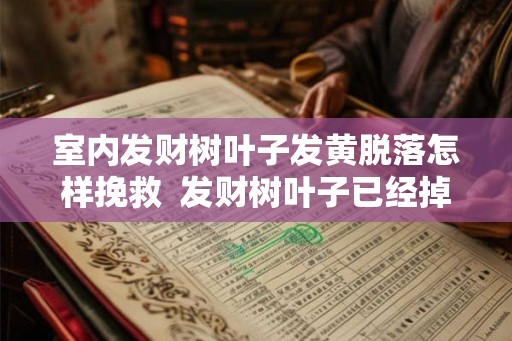 室内发财树叶子发黄脱落怎样挽救  发财树叶子已经掉光的处理