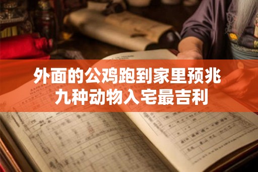 外面的公鸡跑到家里预兆  九种动物入宅最吉利