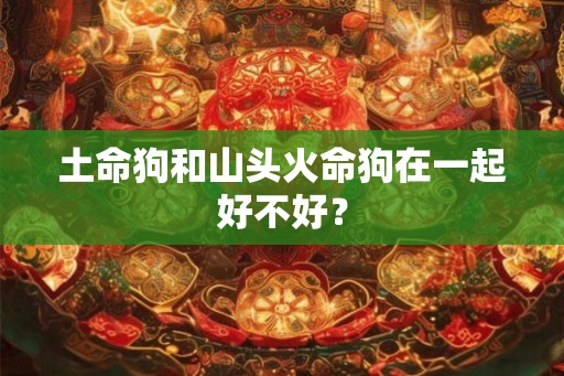 土命狗和山头火命狗在一起好不好？