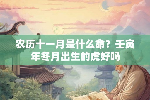 农历十一月是什么命？壬寅年冬月出生的虎好吗