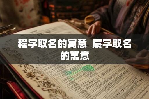 程字取名的寓意  宸字取名的寓意