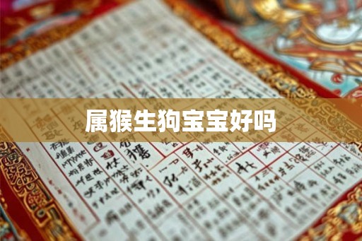 属猴生狗宝宝好吗