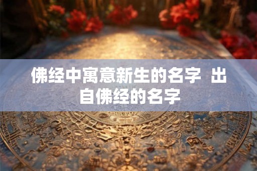 佛经中寓意新生的名字 出自佛经的名字 佛经中寓意新生的名字 出自佛经的名字