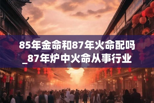 85年金命和87年火命配吗_87年炉中火命从事行业
