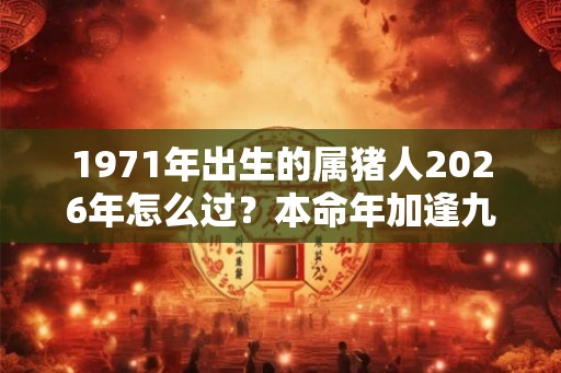 1971年出生的属猪人2026年怎么过？本命年加逢九年