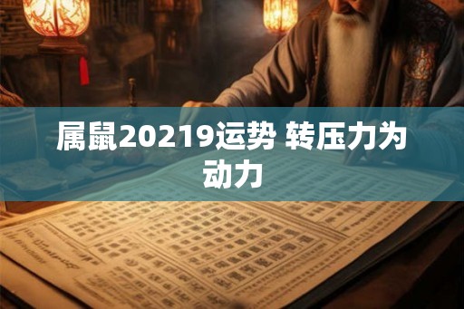属鼠20219运势 转压力为动力 属鼠20219运势 转压力为动力