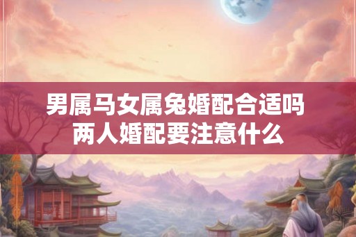 男属马女属兔婚配合适吗 两人婚配要注意什么